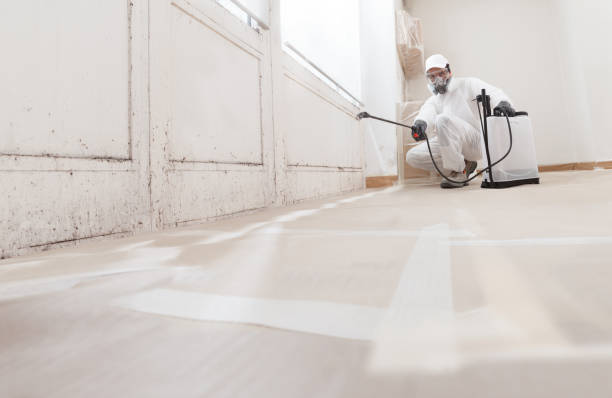 24/7 Emergency Mold Removal experts in Wayne, NJ