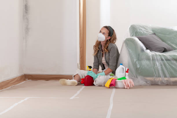 Reliable Mold Removal contractor in Wayne, NJ by WQB Mold Removal
